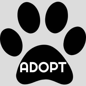 Adopt Pet Paw Design - US Custom Tees