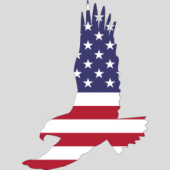 American Flag Eagle Design - US Custom Tees