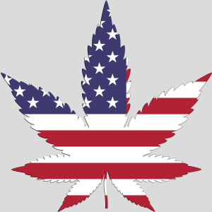 American Flag Pot Leaf Design - US Custom Tees