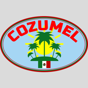Cozumel Mexico Palm Tree Sunshine Design - US Custom Tees