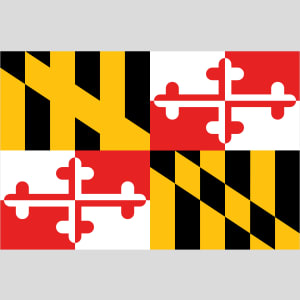 Maryland State Flag Design - US Custom Tees
