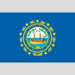 New Hampshire State Flag Design - US Custom Tees