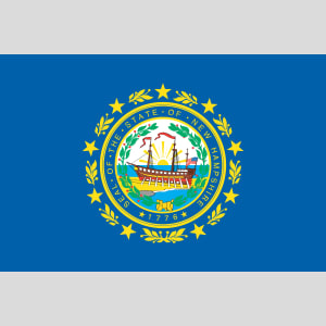 New Hampshire State Flag Design - US Custom Tees