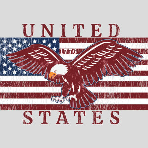 United States Flag Eagle Vintage Design - US Custom Tees