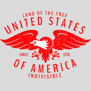 USA Eagle Land Of The Free Vintage Design - US Custom Tees
