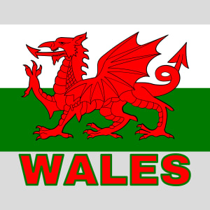 Wales Flag Design - US Custom Tees