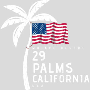 29 Palms California American Flag Palm Tree Design - US Custom Tees