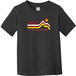 Aspen Pitkin County Colorado Toddler T-Shirt Black - US Custom Tees