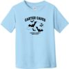 Carter Caves Kentucky Toddler T-Shirt Light Blue - US Custom Tees