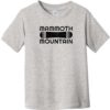 Mammoth Mountain Snowboard Toddler T-Shirt Heather Gray - US Custom Tees