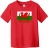 Wales Flag Toddler T-Shirt Red - US Custom Tees
