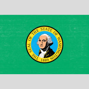 Washington State Flag Vintage Design - US Custom Tees