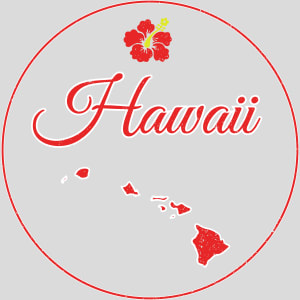 Hawaii Islands State Retro Design - US Custom Tees
