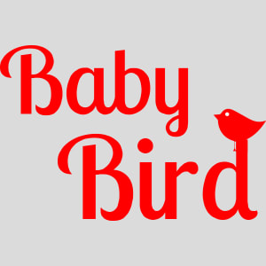 Baby Bird Design - US Custom Tees