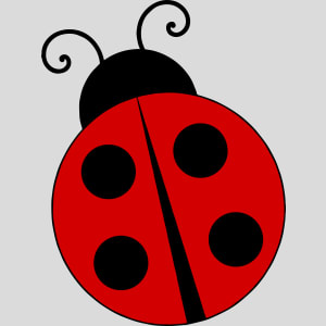 Ladybug Design - US Custom Tees
