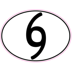 69 Oval Stcker – vinyl decal printed in the USA
