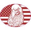 American Flag Eagle Oval Sticker – vinyl decal printed in the USA