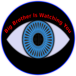 Big Brother Is Watching You Eye Sticker – vinyl decal printed in the USA