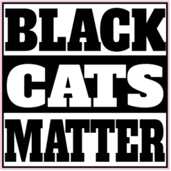 Black Cats Matter Sticker – vinyl decal printed in the USA