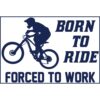 Born To Ride Forced To Work MTB Sticker – vinyl decal printed in the USA