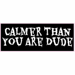 Calmer Than You Are Dude Sticker – vinyl decal printed in the USA