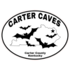 Carter Caves Bat Oval Sticker – vinyl decal printed in the USA