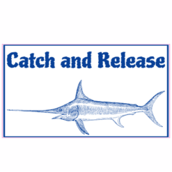 Catch And Release Marlin Sticker – vinyl decal printed in the USA