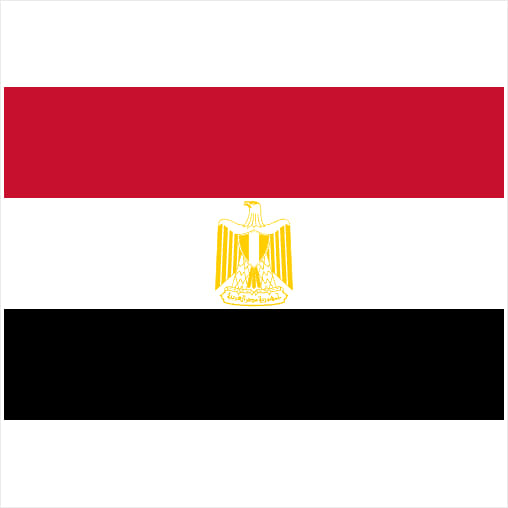 Egypt Flag Sticker – vinyl decal printed in the USA