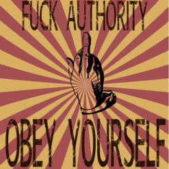 Fuck Authority Sticker – vinyl decal printed in the USA
