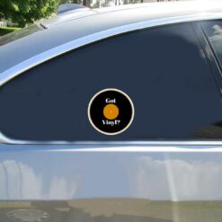 Got Vinyl Records Car Sticker shown on a vehicle rear window