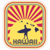 Hawaii Surfer Sunset Sticker – vinyl decal printed in the USA