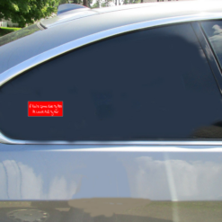 If You're Gonna Ride My Ass At Least Pull My Hair Car Sticker shown on a vehicle rear window