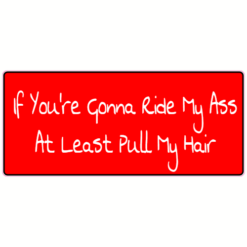 If You're Gonna Ride My Ass At Least Pull My Hair Sticker – vinyl decal printed in the USA