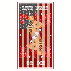 Live Free or Die Sticker – vinyl decal printed in the USA