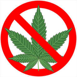 No Weed Allowed Sticker – vinyl decal printed in the USA