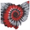 Ohio Tie Dye State Sticker – vinyl decal printed in the USA