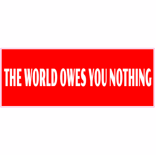 The World Owes You Nothing Sticker – vinyl decal printed in the USA