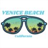 Venice Beach California Sunglasses Sticker – vinyl decal printed in the USA