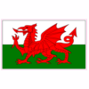 Wales Flag Sticker – vinyl decal printed in the USA