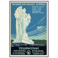 Yellowstone National Park Vintage Sticker – vinyl decal printed in the USA