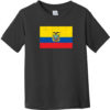 Ecuador Vintage Flag Toddler T-Shirt Black - US Custom Tees