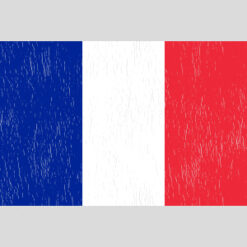 France Vintage Flag Design - US Custom Tees