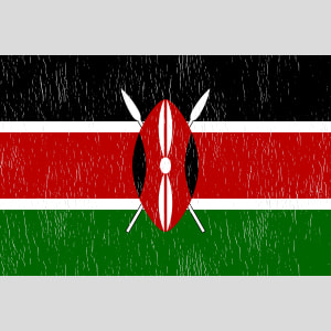 Kenya Vintage Flag Design - US Custom Tees