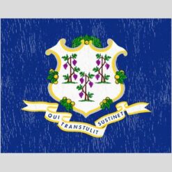 Connecticut Vintage State Flag Design - US Custom Tees