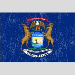 Michigan Vintage State Flag Design - US Custom Tees