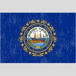 New Hampshire Vintage State Flag Design - US Custom Tees